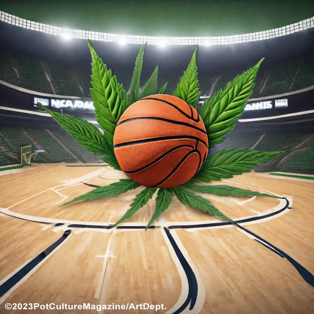 Court Side Shift: NCAA Might Just Say ‘Yes’ to Cannabis