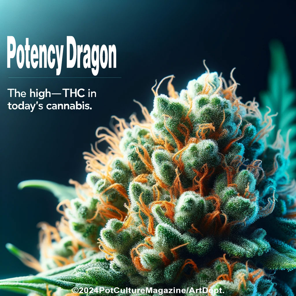 THC Titans: Chasing the Potency Dragon in Today’s Cannabis Craze