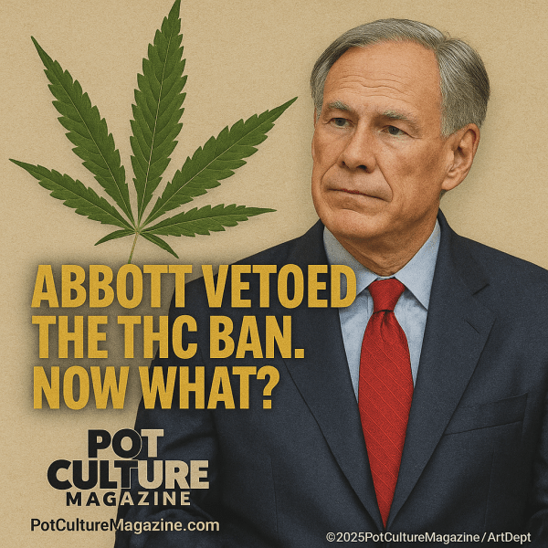 Texas Governor Greg Abbott looks to the side with a neutral expression against a beige background. A large cannabis leaf is displayed behind him. Bold yellow text reads: "Abbott Vetoed the THC Ban. Now What?" The Pot Culture Magazine logo appears at the bottom, along with the web address PotCultureMagazine.com.