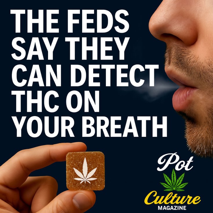 A man exhales visible breath or smoke, facing a hand holding a cannabis edible marked with a white marijuana leaf. Bold white text reads: “THE FEDS SAY THEY CAN DETECT THC ON YOUR BREATH.” The background is dark blue. Pot Culture Magazine logo appears in the bottom right corner.
