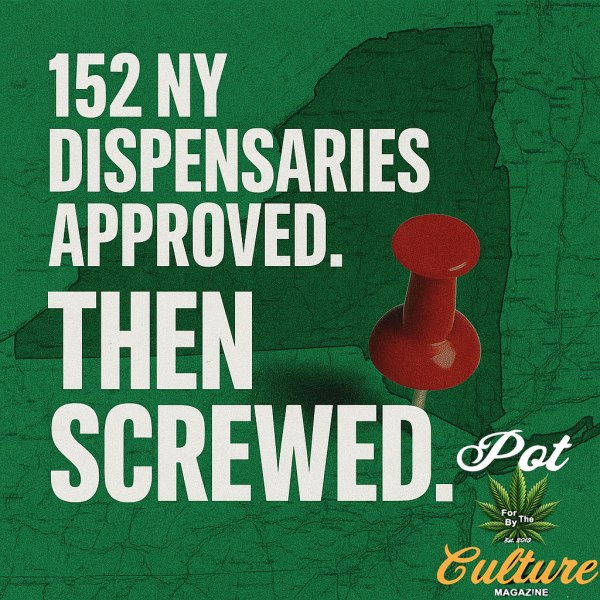 Graphic image of a green map of New York State with a bold white headline that reads: “152 NY DISPENSARIES APPROVED. THEN SCREWED.” A large red pushpin is stuck into the map. Pot Culture Magazine’s logo appears in the lower right corner