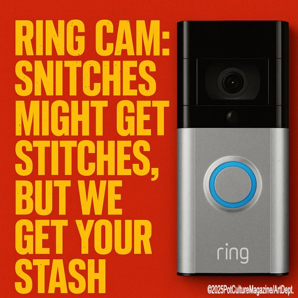 A bold red graphic featuring a Ring video doorbell on the right side. Large yellow text on the left reads: “RING CAM: SNITCHES MIGHT GET STITCHES, BUT WE GET YOUR STASH.” The image carries a satirical tone, suggesting surveillance plays a role in cannabis enforcement. Bottom right corner includes the copyright: ©2025PotCultureMagazine/ArtDept