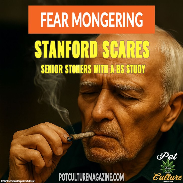 Editorial graphic for Pot Culture Magazine’s Fear Mongering series. It shows an older man with white hair and a serious expression, holding and smoking a joint as smoke curls upward. The text reads: “FEAR MONGERING — STANFORD SCARES SENIOR STONERS WITH A BS STUDY.” The design uses copper-orange, black, and yellow text on a dark background, with the Pot Culture Magazine logo and copyright ©2025PotCultureMagazine/ArtDept at the bottom.