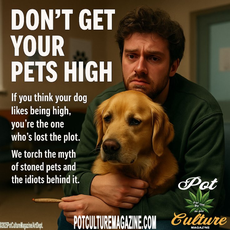A Pot Culture Magazine public awareness image shows a man sitting on a couch holding his golden retriever with concern. The man looks guilty while holding a lit joint near the dog. The bold text reads: “DON’T GET YOUR PETS HIGH. If you think your dog likes being high, you’re the one who’s lost the plot. We torch the myth of stoned pets and the idiots behind it.” The Pot Culture Magazine logo and website appear at the bottom along with the copyright ©2025PotCultureMagazine/ArtDept.