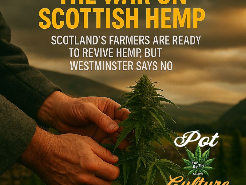 The War on Scottish&nbsp;Hemp