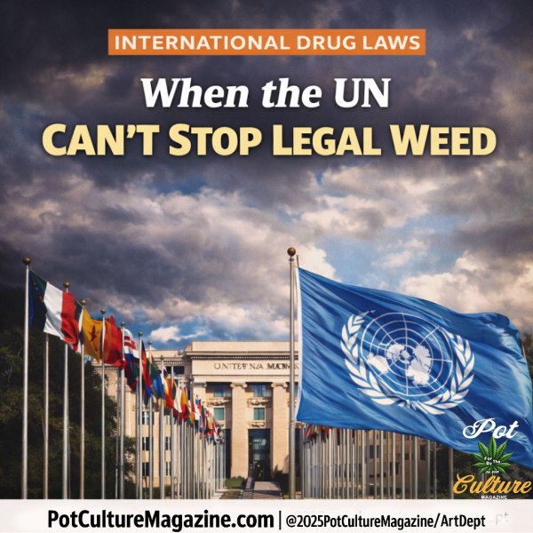 Featured image showing the United Nations headquarters with multiple national flags lining the walkway and a large UN flag in the foreground under a dramatic sky. Headline reads “When the UN Can’t Stop Legal Weed” under the category “International Drug Laws.” The image represents global cannabis reform and the UN’s limited authority over national legalization. PotCultureMagazine.com appears at the bottom.
