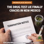 Feature image for a workplace rights article showing hands holding a termination notice, with a cannabis container and drug test strip on a desk beneath the headline “The Drug Test Lie Finally Cracks in New Mexico,” illustrating the link between cannabis testing, employment termination, and changing labor protections. PotCultureMagazine.com ©2025 Pot Culture Magazine Art Dept.